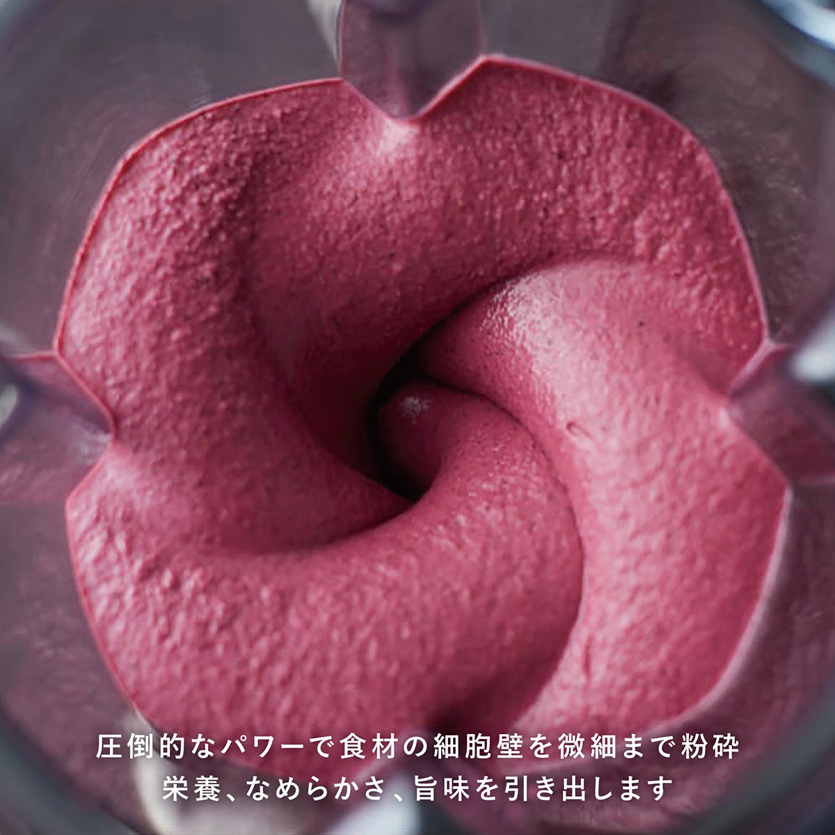 【数量限定セール】 バイタミックス Vitamix ミキサー V1200i ブラック 1.4Lコンテナ(ECO限定モデル) 日本正規輸入代理店 安心の直営店理店 安心の直営店